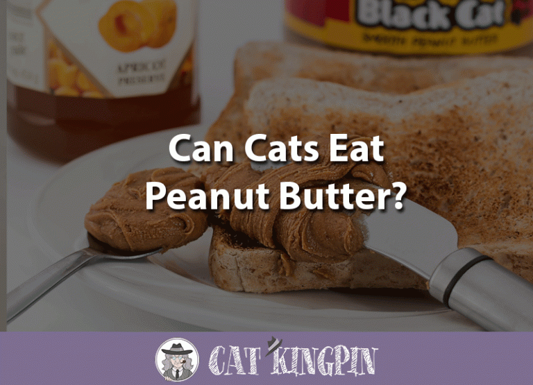 Can Cats Eat Peanut Butter?