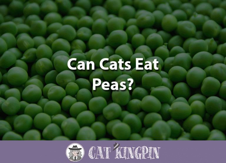 Can Cats Eat Peas?