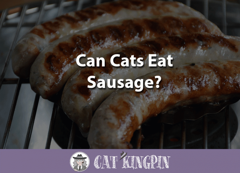 Can Cats Eat Sausage?