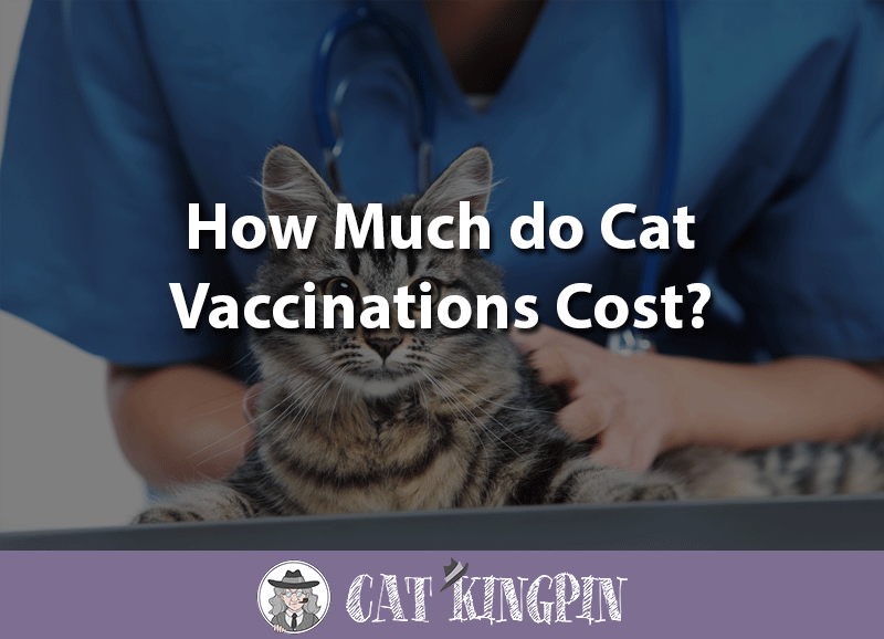 how much do cat vaccinations cost