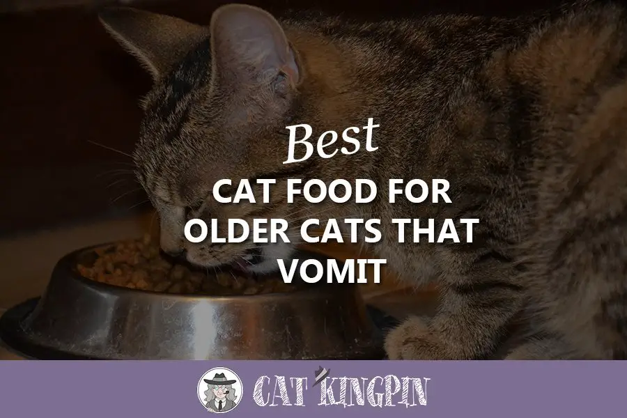 Best Cat Food For Older Cats That Vomit