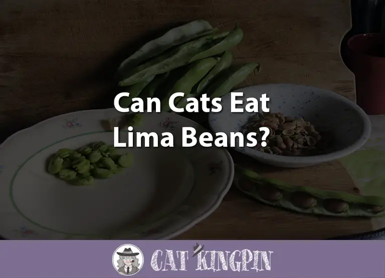 Can Cats Eat Lima Beans?