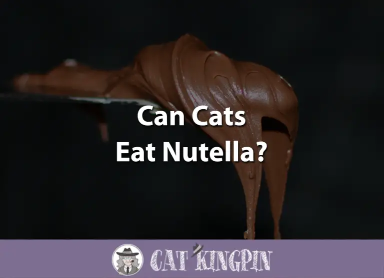 Can Cats Eat Nutella?