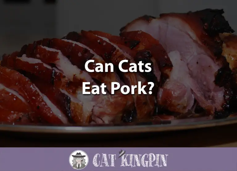 Can Cats Eat Pork?